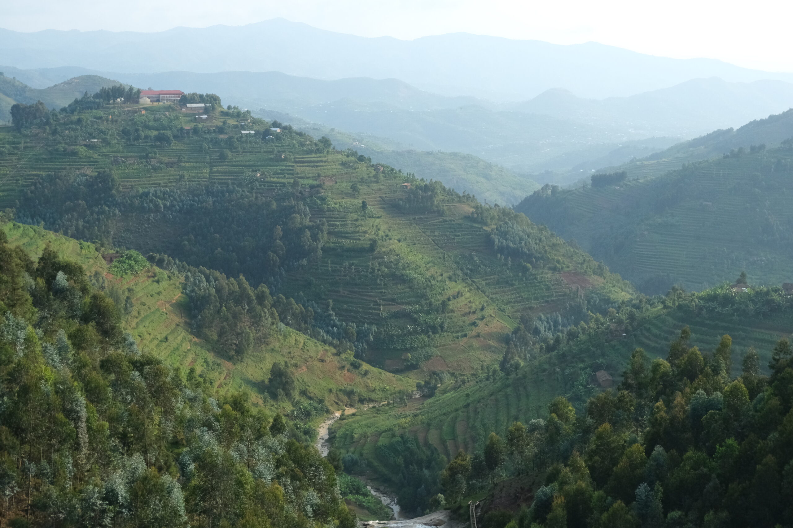 Ringing the Hills: How a Tea Farmer and Her Daughters Adapted to the Shifting Slopes
