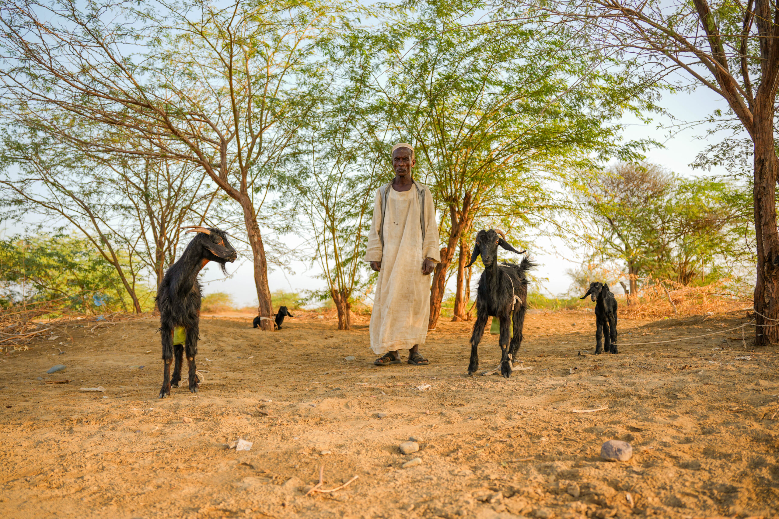 When The River Speaks: How Sudan Is Learning To Live With The Nile – Even In Times Of War